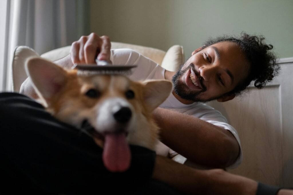 pexels-photo-9986349-9986349 A cheerful man brush combs his happy Corgi dog indoors. Perfect for pet lover themes.
